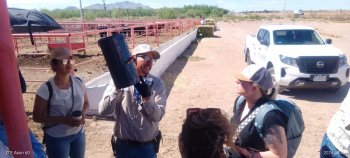 Chihuahua refuerza blindaje sanitario: reubican 14 trampas contra el Gusano Barrenador del Ganado