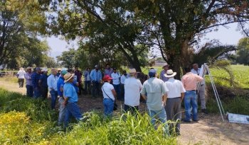 INIFAP presenta variedades de frijol resistentes a sequía en Salvatierra, Guanajuato