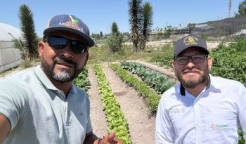 INIFAP y UAAAN impulsan nanotecnología agrícola con nanobioestimulantes para cultivos