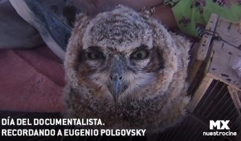 MX Nuestro Cine homenajea a Eugenio Polgovsky en el Día del Documentalista