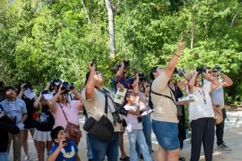Avistamiento de 16 especies de aves reúne a la comunidad en el Parque Urbano Corazón de Cozumel