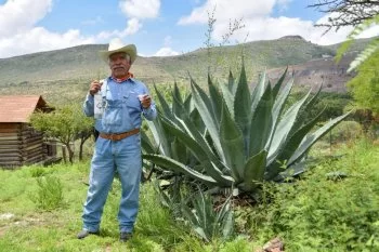 Mezcal de Aguascalientes busca nuevos mercados con apoyo del Gobierno del Estado
