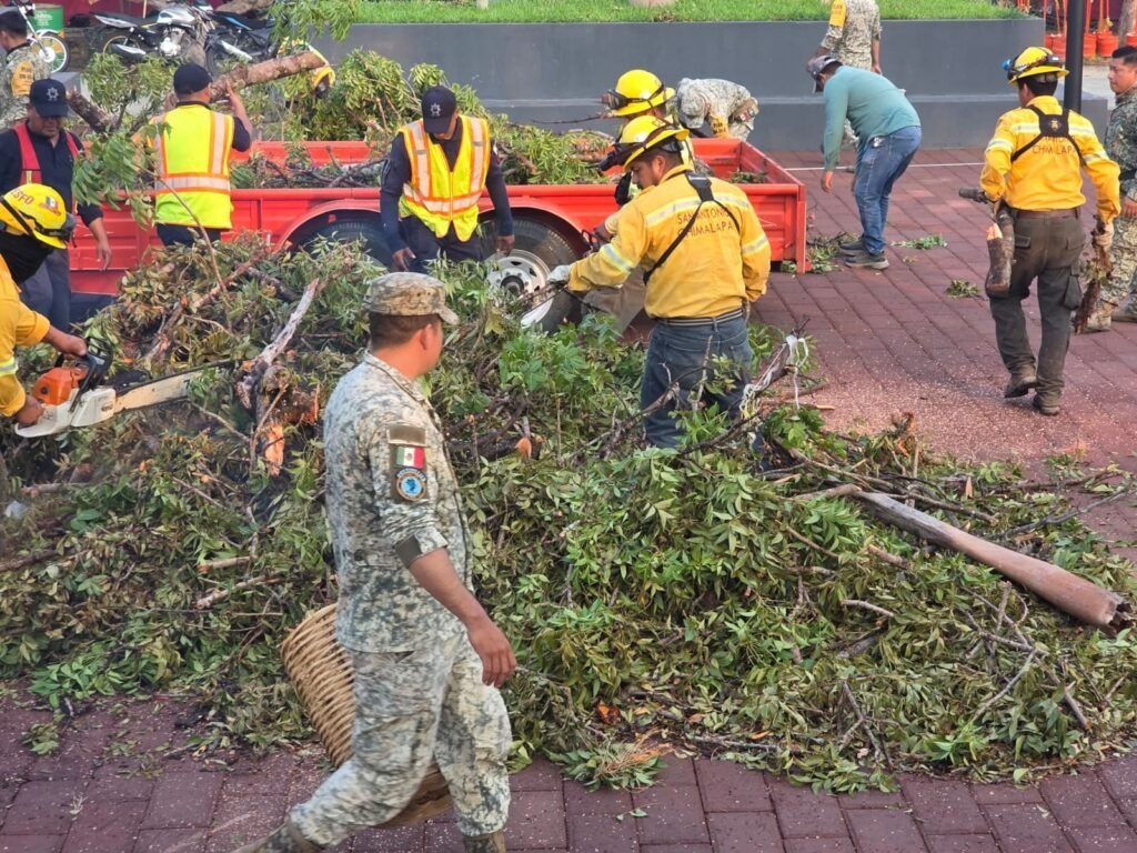 Gobierno de Oaxaca retira árboles caídos por tormenta en San Francisco Ixhuatán