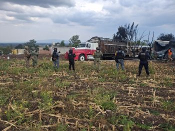 Aseguran centro clandestino de hidrocarburo en Juventino Rosas; suman más de 6.2 millones de litros decomisados en Guanajuato