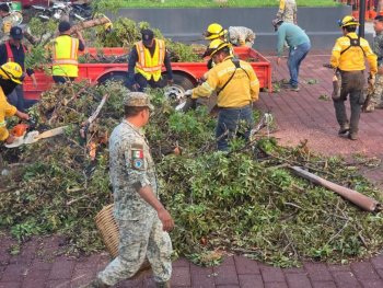 Gobierno de Oaxaca retira árboles caídos por tormenta en San Francisco Ixhuatán