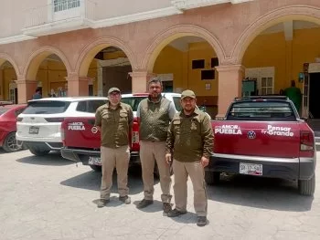 Brigadas veterinarias refuerzan combate contra el Gusano Barrenador del Ganado en Puebla