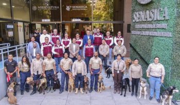 México recibe 15 binomios caninos de Centroamérica para reforzar sanidad agropecuaria durante el Mundial