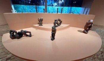 Museo de Arte Moderno inicia 2026 con recorridos corporales en exposición de Gerda Gruber