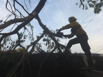 Brigadas de Coesfo concluyen apertura de caminos en San Francisco Ixhuatán tras tormenta