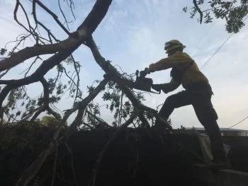 Brigadas de Coesfo concluyen apertura de caminos en San Francisco Ixhuatán tras tormenta