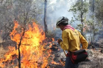 Chihuahua liquida 184 incendios forestales en 2025; cuatro siguen activos