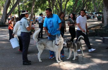 Guardia Nacional y gobierno estatal realizan jornada de proximidad social en Puebla