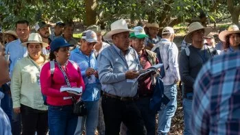 Puebla fortalece lazos con Michoacán y Jalisco para impulsar el sector aguacatero