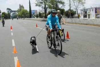 Vía Recreativa Metropolitana en Puebla combina movilidad sustentable y reciclaje