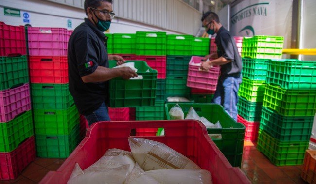 Leche para el Bienestar llega a 7.5 millones de beneficiarios; litro a 4.50 pesos en 552 municipios