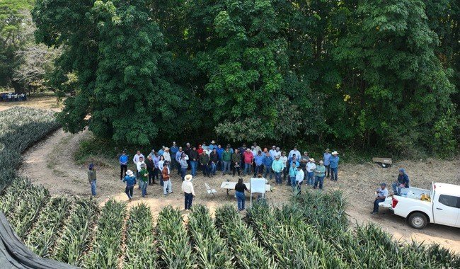 Productores de piña de seis estados participan en Primer Encuentro Nacional en Veracruz