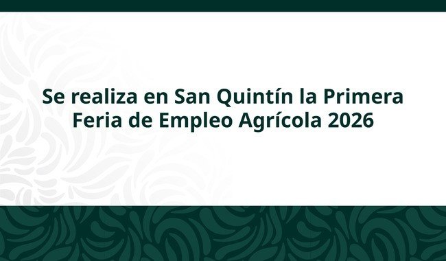 STPS realiza Primera Feria de Empleo Agrícola 2026 en San Quintín con salarios de hasta 24 mil pesos
