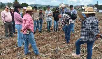 Estudiantes de la UMSNH visitan el INIFAP en Oaxaca para fortalecer su formación agropecuaria