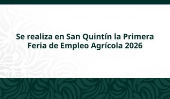 STPS realiza Primera Feria de Empleo Agrícola 2026 en San Quintín con salarios de hasta 24 mil pesos