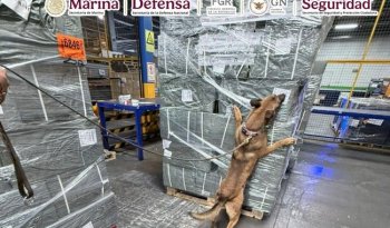 ANAM y SEMAR decomisan 4 mil 170 kg de cigarrillos apócrifos en AICM