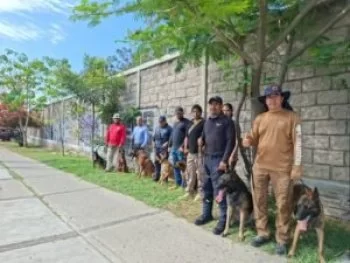 Capacitan a unidad canina de Coyuca de Benítez en búsqueda y rescate en estructuras colapsadas