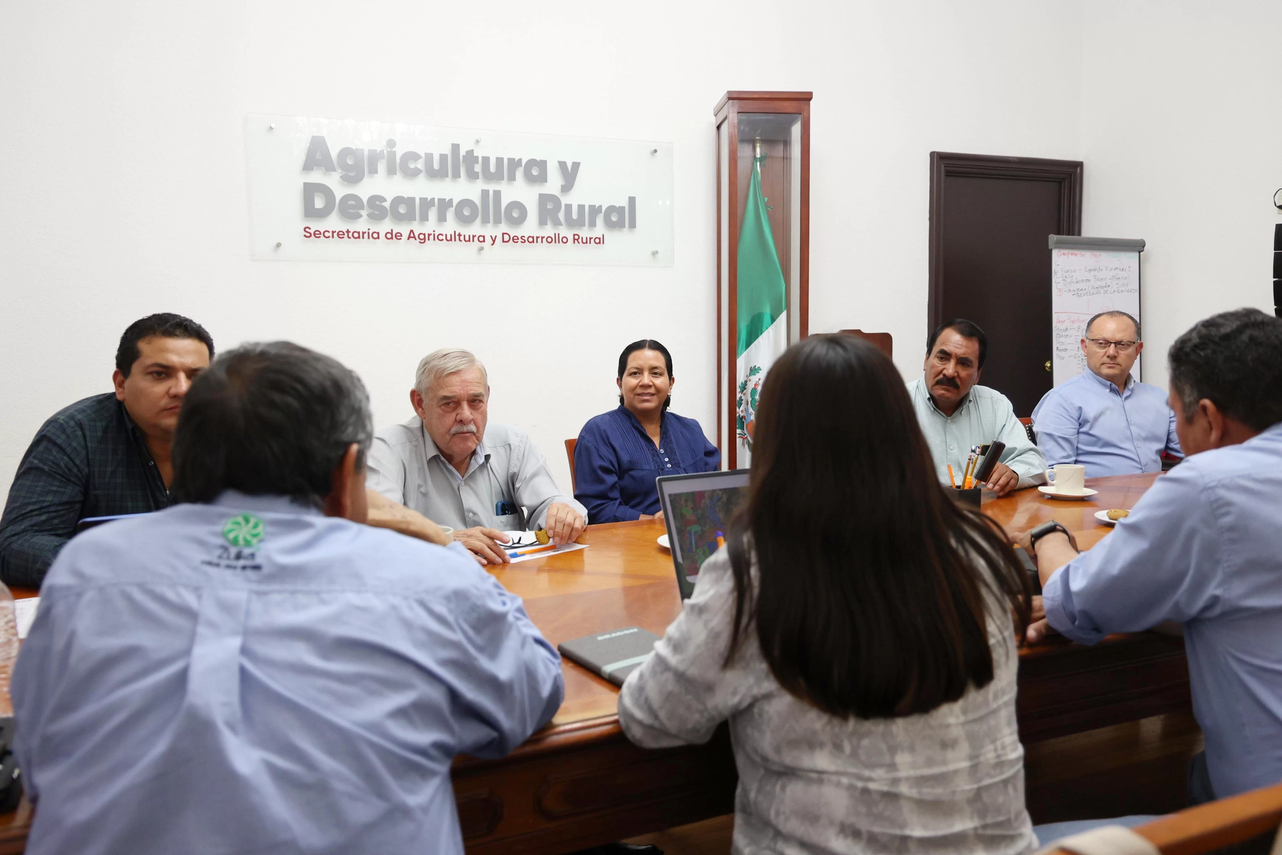Puebla destina 2.5 mdp para control biológico del Barrenador del Tallo en caña de azúcar