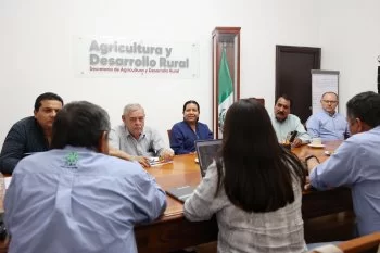 Puebla destina 2.5 mdp para control biológico del Barrenador del Tallo en caña de azúcar