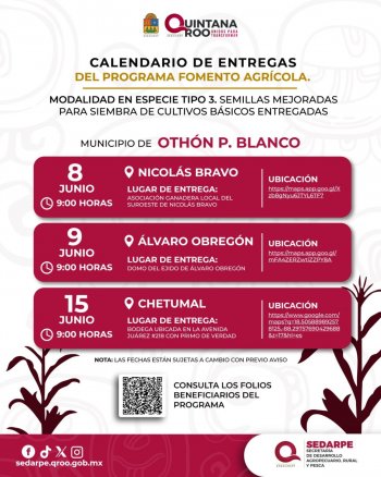 SEDARPE inicia entrega de 47 toneladas de semilla de maíz mejorada en Quintana Roo
