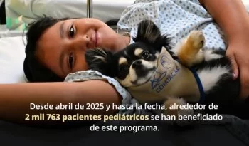 Terapias con perros benefician a 2,763 pacientes en el Instituto Nacional de Pediatría