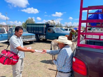 Gobierno de Puebla capacita a estudiantes y productores contra el gusano barrenador del ganado