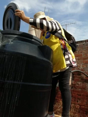 Guanajuato reporta 6 casos de dengue en 2026, 75% menos que el año anterior