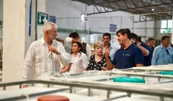Semarnat impulsa economía circular del sargazo en Quintana Roo
