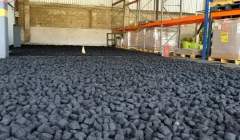 INIFAP impulsa producción de briquetas de carbón vegetal en Campeche para sostenibilidad energética