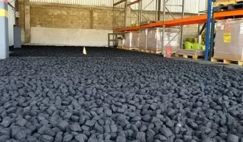 INIFAP impulsa producción de briquetas de carbón vegetal en Campeche para sostenibilidad energética