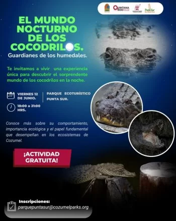 FPMC invita a vivir la experiencia nocturna de los cocodrilos en Punta Sur este 12 de junio