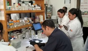 INIFAP capacita a ganaderos en detección de parásitos para proteger la salud bovina