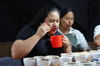 Puebla define a los 10 finalistas del concurso Calidad en Taza 2026 en CONCAFE
