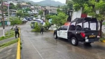 SSPC mantiene operativo en Acapulco tras lluvias; retira árbol caído en la Emiliano Zapata