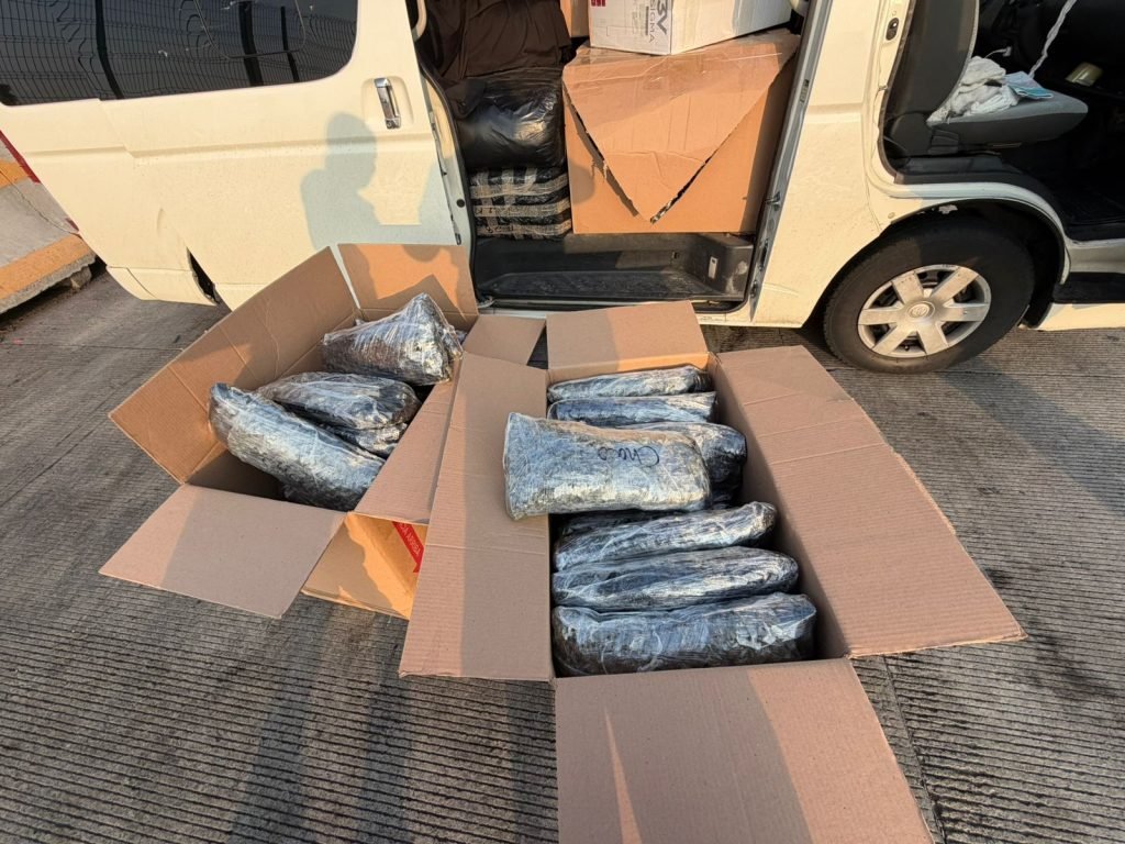 Aseguran 461 kg de marihuana en Irapuato; detienen a dos personas