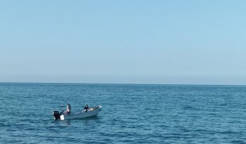 Conapesca establece tres nuevas Zonas de Refugio Pesquero en Baja California Sur