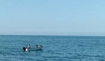 Conapesca establece tres nuevas Zonas de Refugio Pesquero en Baja California Sur