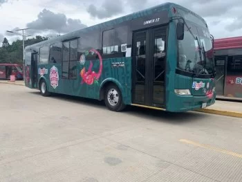 BinniBus Oaxaca ofrecerá servicio gratuito al Parque Primavera Oaxaqueña durante el Mundial 2026