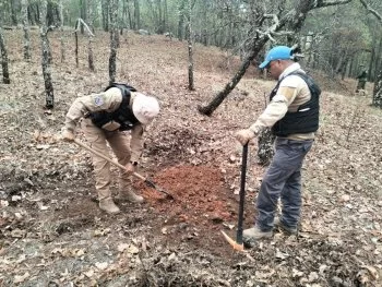 Gobierno de Zacatecas y Fiscalía logran resultados positivos en búsqueda de personas en Juchipila y Tepechitlán