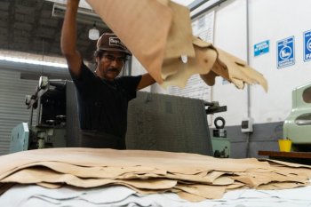 Guanajuato anota en Sudáfrica: exportaciones superan los 8 mdd en 2025