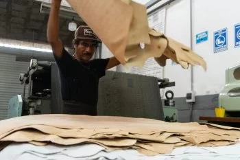 Guanajuato anota en Sudáfrica: exportaciones superan los 8 mdd en 2025