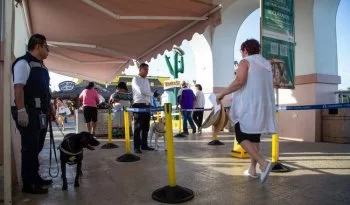 Agricultura refuerza inspecciones sanitarias con binomios caninos rumbo al Mundial 2026