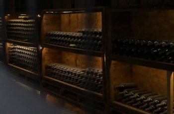 Guanajuato arrasa en Bruselas: 52 premios y el mejor vino mexicano en concurso mundial