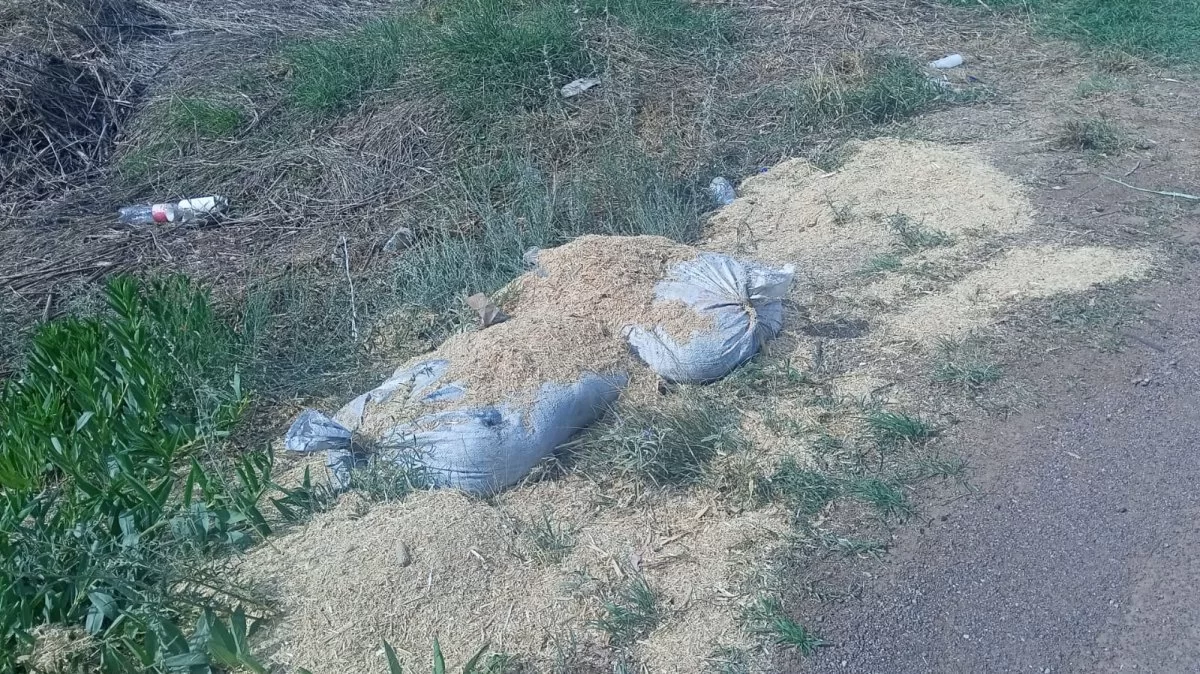 Aseguran más de 200 kg de explosivos en Aguascalientes, cerca de Zacatecas