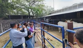Estudiantes de Veterinaria visitan centro del INIFAP para conocer avances en parasitología ganadera