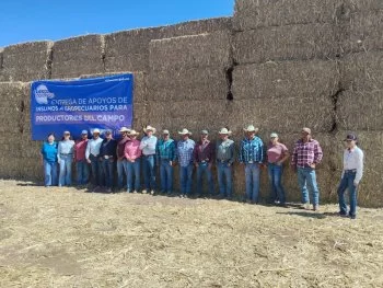 Gobierno de Chihuahua entrega más de 140 mil pacas de rastrojo a 15 mil productores ante crisis hídrica